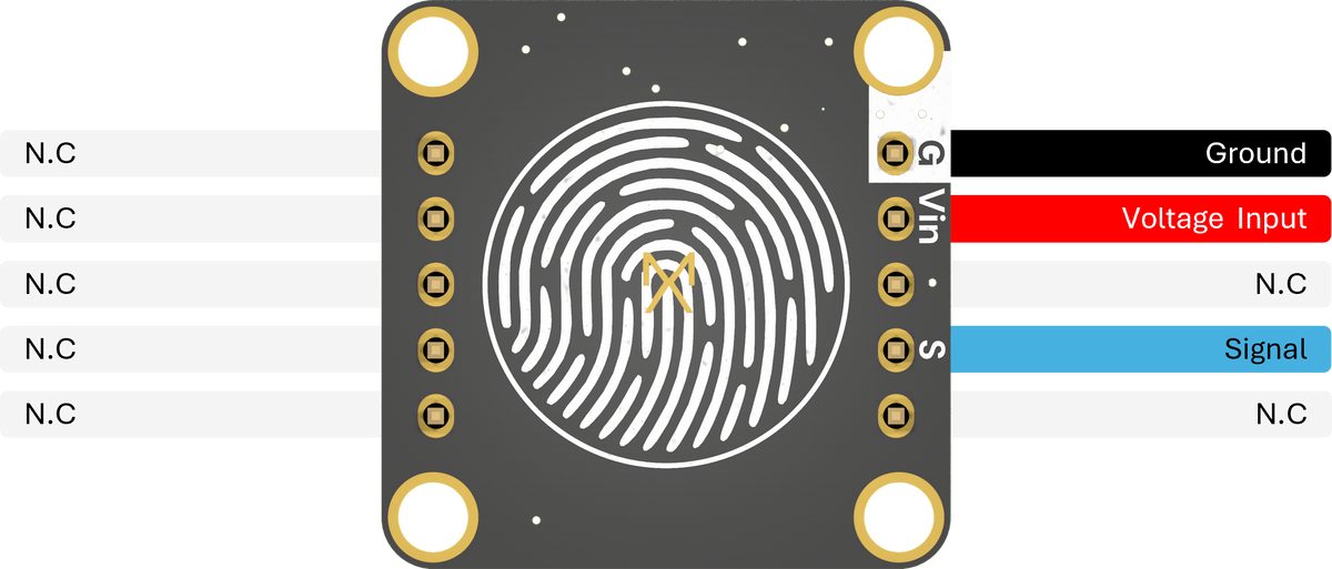 Pinout & connections