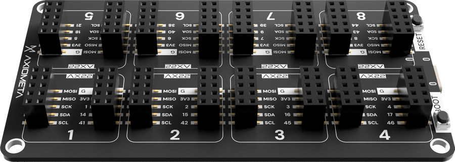 Genesis One